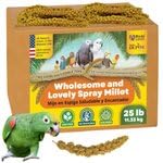 5lbs Wholesome Spray Millet for Birds β USA Grown, Harvested & Packed β 100% Natural Sun-Dried Millet Clusters β for Parakeets, Cockatiels, Conures, Budgies, Finches & All Parrots