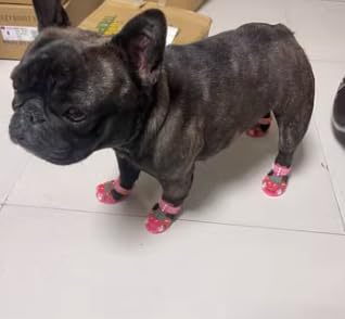 Cute Summer Dog Shoes Sweet Cherry Puppy Sandals Pet Jelly Shoes Flats, Dog Booties Paw Protector for Summer Hot Pavement (Candy Pink, #1: 1.57''x1.37''(Length*Width))