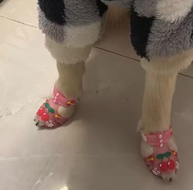 Cute Summer Dog Shoes Sweet Cherry Puppy Sandals Pet Jelly Shoes Flats, Dog Booties Paw Protector for Summer Hot Pavement (Candy Pink, #1: 1.57''x1.37''(Length*Width))