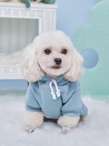 QWINEE 2Pcs Basic Dog Hoodie, Dog Warm Jacket, Cat Apparel, Dog Shirt, Dog Clothes for Puppy Kitten Small Medium Dogs Cats Pink and Green X-Large