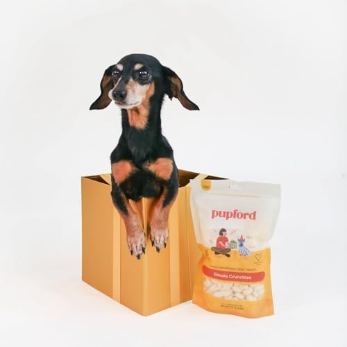 Pupford Cheese Crunchies, Premium Single-Ingredient Treat for Dogs & Puppies (Gouda, 4.25 oz)