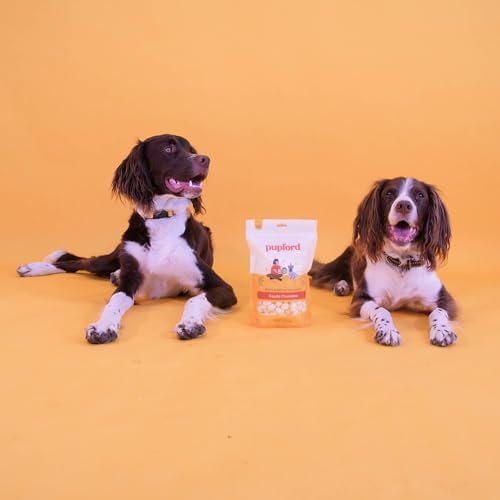 Pupford Cheese Crunchies, Premium Single-Ingredient Treat for Dogs & Puppies (Gouda, 4.25 oz)