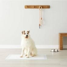 Load image into Gallery viewer, Amazon Basics X-Large Absorbent Puppy Pads, Leak-Proof, Quick-Dry, 28 x 34 Inches, Pack of 50, Blue & White