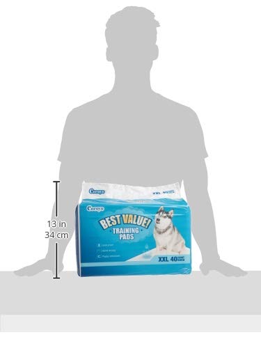 COCOYO Training Pads, 30"X36", 40 Count, XXL