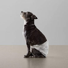 Load image into Gallery viewer, Amazon Basics Absorbent, Leakproof Male Dog Wrap Disposable Diapers, Small, Pack of 50, White