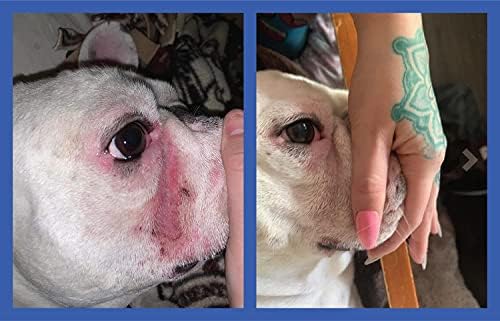 Squishface Wrinkle Wipes – 5”x7” Large Dog Wipes - Deodorizing, Tear Stain Remover – Great for English Bulldog, Pugs, Frenchie, Bulldogs, French Bulldogs & Any Breed! (80 Count)
