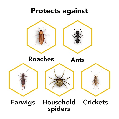 Raid Ant & Roach Aerosol Bug Spray, Water-Based Formula Insecticide with No Greasy Residue, Kills On Contact, 17.5 oz