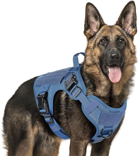 rabbitgoo Tactical Dog Harness for Large, Heavy Duty Pet Harness with Handle, No-Pull Service Vest Large Breed, Adjustable Military Dog Vest for Training Hunting Walking, Blue, XL