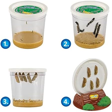 Insect Lore Butterfly Farm™ | Butterfly Kit with Live Cup of Caterpillars | 5 Caterpillars, Reusable Habitat, STEM Butterfly Journal & More