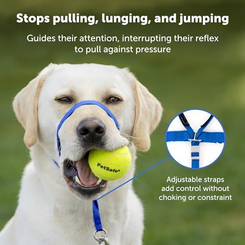 PetSafe Gentle Leader No-Pull Head Collar for Dogs, Dog Head Collar - The Ultimate Solution to Pulling, Padded Nose Loop, Quick-Snap Neck Strap, Dog Halter, Large - Black