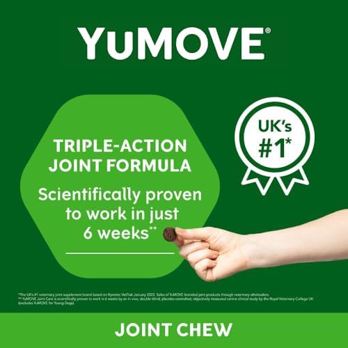 Lintbells YuMOVE Joint Supplement Dog Chews - Contains Glucosamine, Green Lipped Mussel - Natural Relief from Hip Ache, Stiff Joints - 1 Month’s Supply (Large & X-Large)