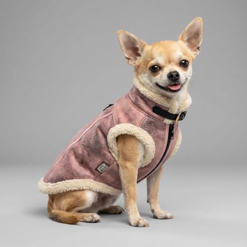 LUVMOJO Aviator Dog Jacket, Retro Faux Leather Winter Coats with Sherpa Lining for Puppy, Warm Bomber Uniform for Small and Medium Dogs & Cats, Girl Doggy Motorcycle Costumes Female, Pink, S
