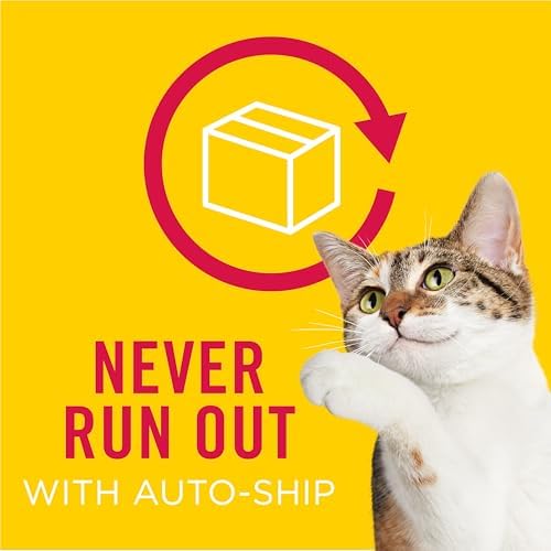 Purina Friskies Extra Gravy Wet Cat Food Chunky With Beef in Savory Gravy - (Pack of 24) 5.5 oz. Cans