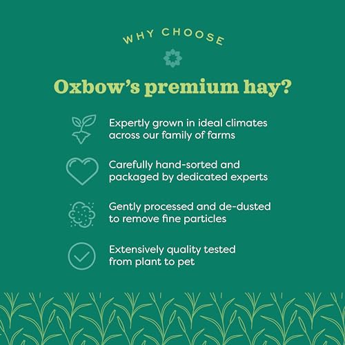 Oxbow Western Timothy Hay, Guinea Pig Hay, Small Pet Bunny Supplies, All Natural Grass for Guinea Pig, Bunny, Chinchilla & Hamster, Oxbow Rabbit Supplies for Bunnies, 90 oz. bag