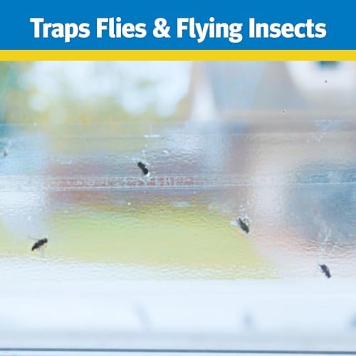 Raid Window Fly Trap 6 Pack, Fruit Fly Traps for Indoors, Disposable Bug Catcher, Paper Sticky Strips, Insect Glue Trap for Home, Kitchen, & Garage