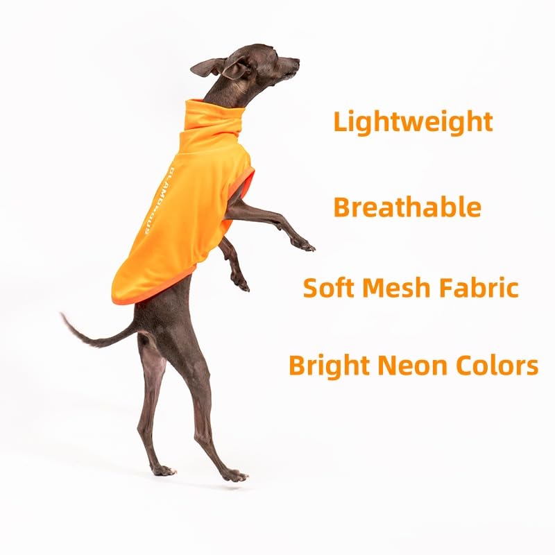 Italian Greyhound Clothes, Lightweight & Breathable Sun Protection Tank Tops for Italian Greyhound and Whippets Dogs (Green, X-Small)