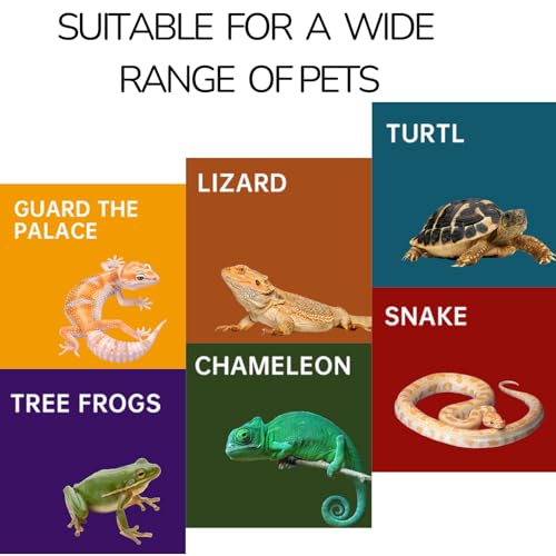 Repticircle Reptile Hide for Leopard Gecko, Bearded Dragon, Ball Python & Tortoise – Terrarium Habitat Décor, Snake & Lizard Hideout(Resin, Large)