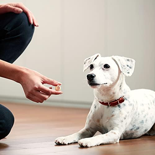 Milk-Bone MaroSnacks Dog Treats, 38 Ounce Refill Packs (Pack of 2) with Real Bone Marrow and Calcium