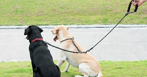 iYoShop Dual Dog Leash, 360 Swivel No Tangle Walking Leash, Shock Absorbing Bungee for Two Dogs, Black, Medium (8-35 lbs)