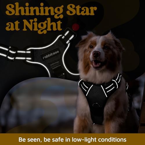 rabbitgoo Dog Harness for Large Dogs, No Pull Pet Vest with 3 Buckles, Adjustable Soft Padded Pet Harness with Easy Control Handle and Reflective Strips, Black, XL