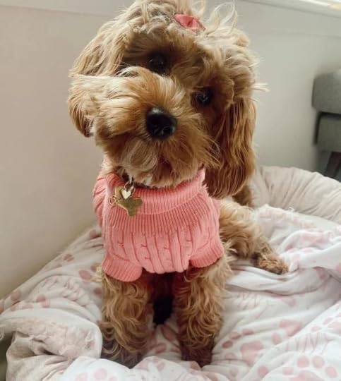 Squishy Cheeks Personalized Dog Pink Paw Print Blanket with Pets Name