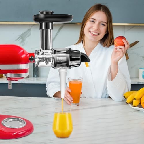 Masticating Juicer Attachment for Kitchen aid Stand Mixers, Masticating Juicer Accessories,Slow Juicer Attachment for All Models Kitchenaid Juicer Mixers and Cuisinart (Black)