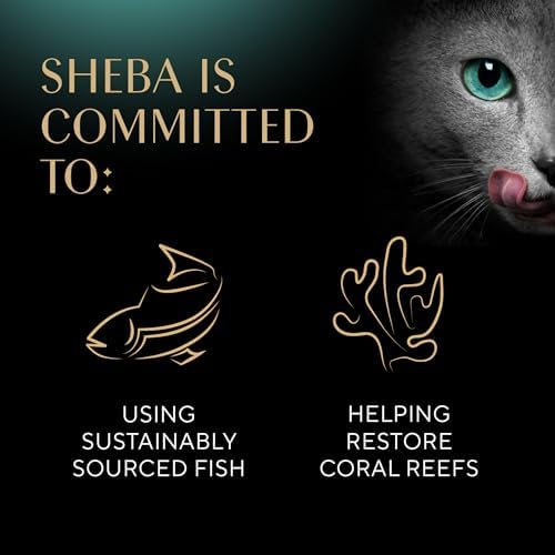 Sheba Perfect Portions Wet Cat Food Cuts in Gray Savory Mixed Grill Entree, 2.6 oz. Twin-Pack Trays (24 Count, 48 Servings)