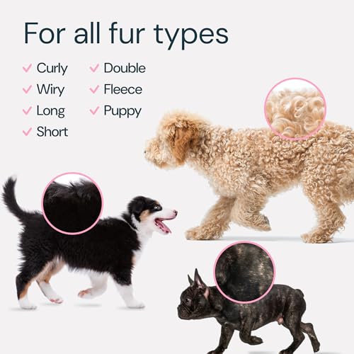 MalsiPree 2-in-1 Dog Grooming Brush & Undercoat Rake - Deshedding Brush and Dematting Comb for Long or Short Haired Dogs - Anti-Shedding Pet Tool - Deshedding Tool