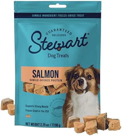Stewart Single Ingredient Freeze Dried Raw Dog Treats, Wild Salmon, 2.75 Ounce Resealable Pouch, Training Treats or Meal Topper for All Size Dogs, High Protein, Grain-Free, Gluten-Free