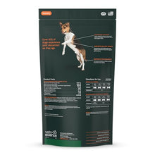 Load image into Gallery viewer, VetriScience Extra Strength Healthy Hip & Joint Chews, GlycoFlex 3, Glucosamine, Green-Lipped Mussel, Joint Support Supplement for Dogs, Promote Mobility & Soothe Joint Discomfort, Chicken, 120 Count