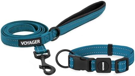 Voyager Reflective Dog Leash Collar Set with Neoprene Handle Supports Small, Medium, and Large Breed Puppies, Cute and Heavy Duty for Walking, Running, and Training - Turquoise, S