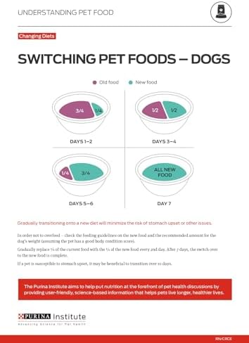 Purina ONE Tender Cuts in Wet Dog Food Gravy Chicken and Brown Rice Entree - (Pack of 12) 13 oz. Cans