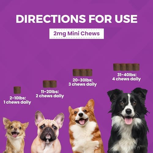 Nootie Progility Mini Calming Aid Chews for Dogs, Advanced Calming Support for Dogs with Melatonin, 60 Soft Chews