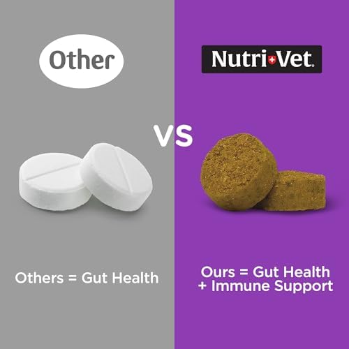 Nutri-Vet Pre and Probiotic Soft Chews for Dogs, Digestive Support, Upset Stomach, Liver & Cheese Flavor, Canine Prebiotic, Pet Fiber Supplement, Alternative to Dog Probiotic Powder, 120 Soft Chews