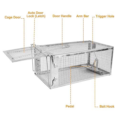 KOCASO 1-Pack Humane Rat Trap, 1-Door Small Live Chipmunk Trap That Work for Indoor Outdoor, Easy to Catch and Release Live Animal Trap Mouse Trap Cage for Rodent Mice Voles Hamsters, Metal & Reusable