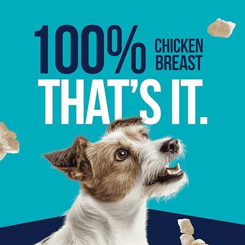 Stewart Single Ingredient Freeze Dried Raw Dog Treats, Chicken Breast, 3 Ounce Resealable Tub, Training Treats or Meal Topper for All Size Dogs, High Protein, Grain-Free, Gluten-Free