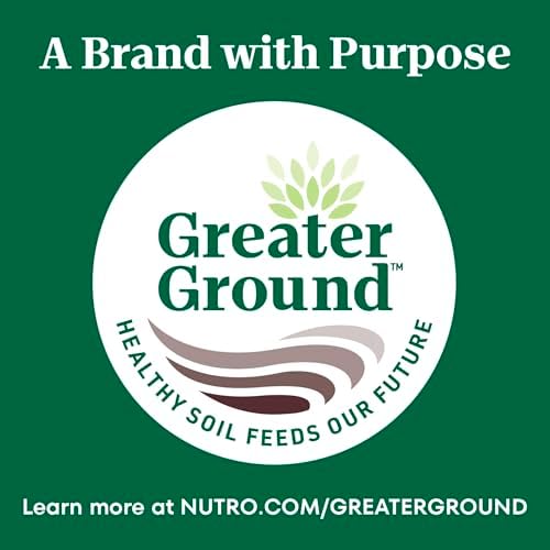 NUTRO WHOLESOME ESSENTIALS Adult Natural Dry Cat Food Salmon & Brown Rice Recipe, 3 lb. Bag