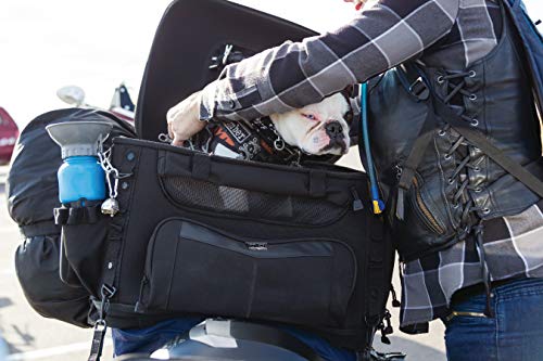 Kuryakyn 5288 Grand Pet Palace: Portable Weather Resistant Motorcycle Dog/Cat Carrier Crate for Luggage Rack or Passenger Seat with Sissy Bar Straps, Black 35 lbs Capacity