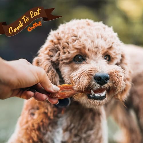 Gootoe Turkey Tendon Dog Treats 1 lb (Pack of 1) – Bone (M), 100% USA Sourced Turkey, Natural Snack, Premium Puppy Chews, Hypoallergenic, Rawhide Free, Reseal Value Bag, Size for Medium Breeds