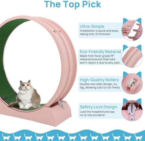 Cat Exercise Wheel, 47.2" Cat Treadmill, Carpeted Runway, Easy to Install, Suitable for Most Cats