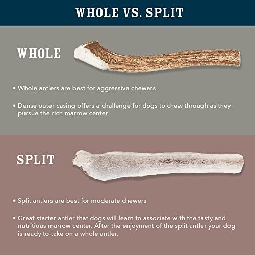 Amazon Brand - Wag Dog Deer Antler Chew, Naturally Shed, Whole, Large 8-9.5 inches (Best for Dogs 30-45 lbs), 3.20 Ounce (Pack of 1)