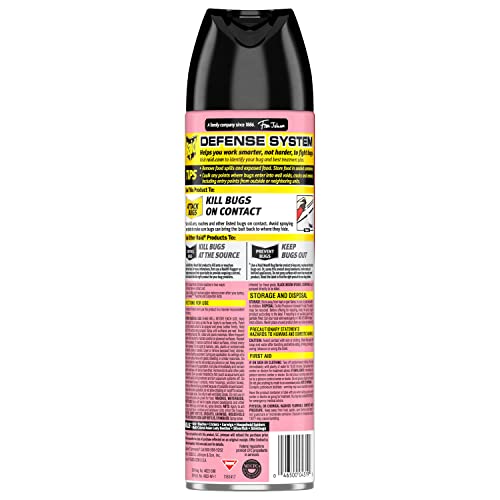 Raid Ant & Roach Aerosol Bug Spray, Water-Based Formula Insecticide with No Greasy Residue, Kills On Contact, 17.5 oz
