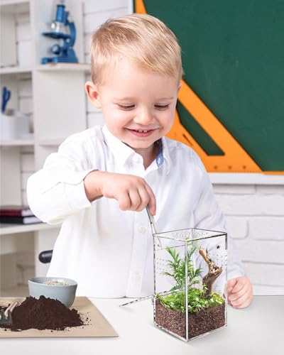 Jumping Spider Enclosure - 3x3x6 Inch Mini Tarantula Enclosure, Small Jumping Spider Accessories terrarium, Acrylic Full Transparency Child Play Tortoise Enclosure, Bug Terrarium, Spider Terrarium