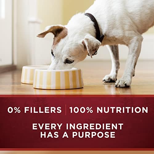 Purina ONE True Instinct Classic Ground Grain-Free Formulas With Real Turkey and Venison, and With Real Chicken and Duck High Protein Wet Dog Food Variety Pack - (Pack of 6) 13 oz. Cans