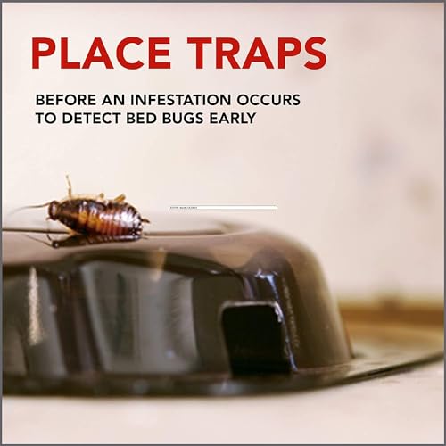 Bed Bug 2 in 1 Detector and Trap - 8 Pack