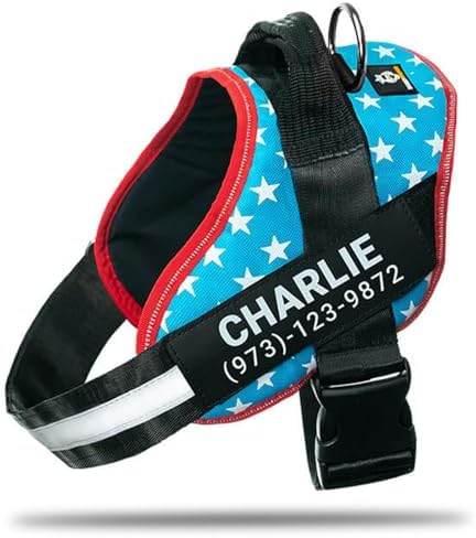 Personalized No-Pull Dog Harness with Name Patch, Padded, Adjustable and Reflective Service Dog Vest, Easy On Dog Harnesses for Medium Large Small Sized Dog Light Blue, M