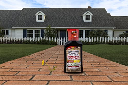 Spectracide Weed and Grass Killer with Extended Control Concentrate, 32 Ounces, with Accumeasure System