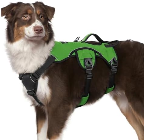 rabbitgoo Escape Proof Dog Harness, Soft Padded Full Body Pet Harness, Reflective Adjustable No Pull Vest with Lift Handle and Lesh Clip for Large Dogs Walking Hiking Training, M, Green