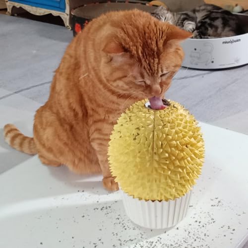 Catnip Feeder - Cat Face Scratcher Wall Corner Massage Comb for Indoor Cats Self Grooming Brush (Green)
