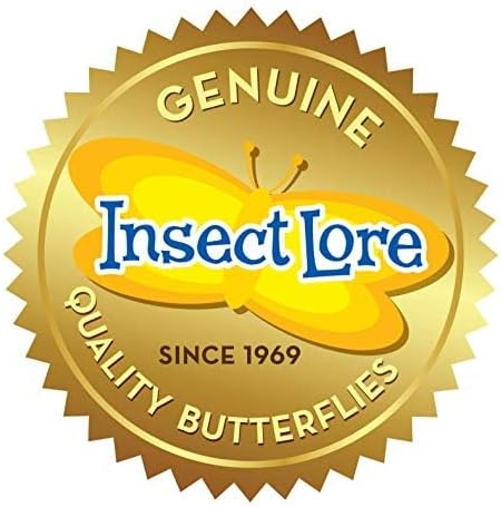 Insect Lore Butterfly Garden | Original 12" Habitat and Two Cups of Live Baby Caterpillars | Life Science & STEM Education Kit